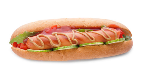 Tasty hot dog on white background