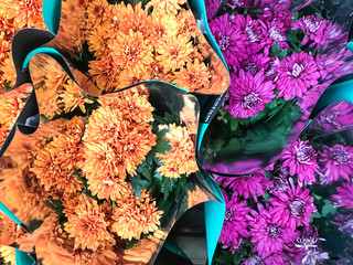 Bouquets of chrysanthemum flowers for holidays, gift.