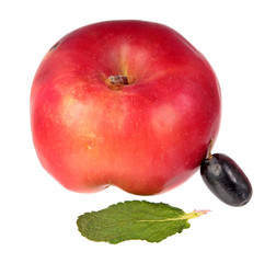 Red apple, purple grape berry and green mint leaf isolated on white background. Ingredients for fruit salad