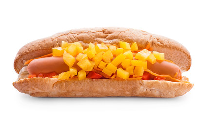 Tasty hot dog on white background