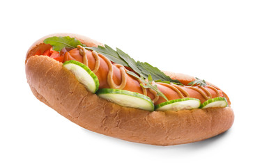 Tasty hot dog on white background