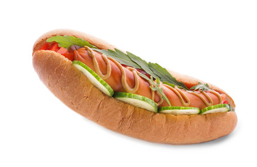 Tasty hot dog on white background