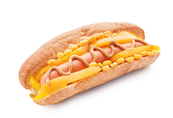 Tasty hot dog on white background