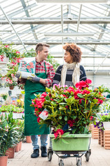 Cheerful worker talking with a beautiful customer in a modern flower shop