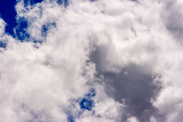 Obraz premium lush white cumulus clouds swim across the blue sky