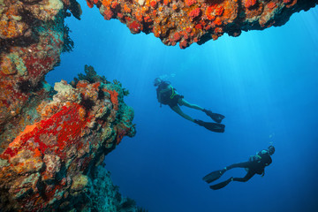 Fototapeta na wymiar Young woman and man divers exploring coral reef.