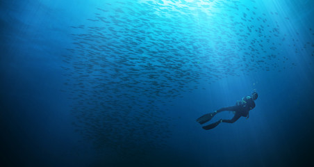 Scuba diver with flock of fish