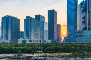 Obraz premium green trees front of modern glass office building