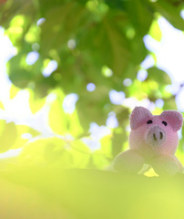 handmade pink pig stand under green tree canopy of fig trees