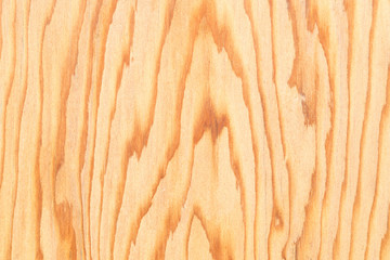 Naklejka premium Wood Wood texture with natural pattern