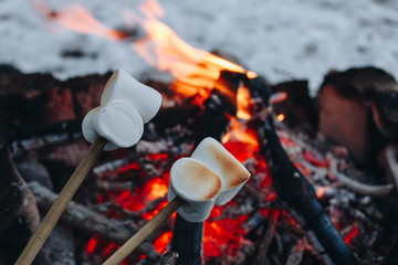 Roasted marshmallows on a fire in the winter forest