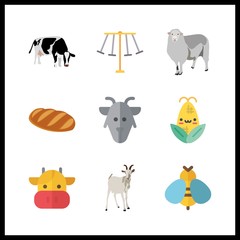 9 rural icon. Vector illustration rural set. bread and rides icons for rural works
