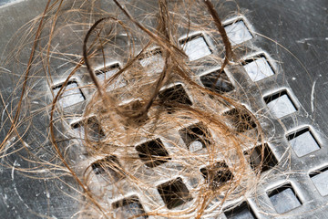 Hair loss in the shower. Long wet brown hair on the railing of the shower in the bathroom.