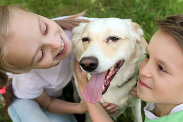 Communication of the child in the summer in nature with your beloved pet. The happiness of communicating with the dog.