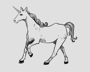 Unicorn. Vector graphic illustration