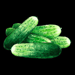 cucumber watercolor illustration on black background