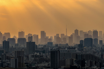Scene of Tokyo tower locate with various building cityscape at sunset time which have sunbeam from Tower Hall Funabori Observation tower, Japan