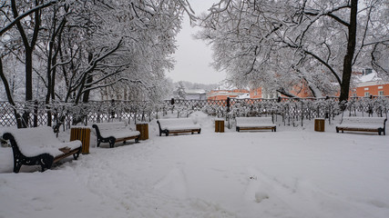 Park benches covered with snow are waiting for visitors. On a winter day, those who want to sit on...