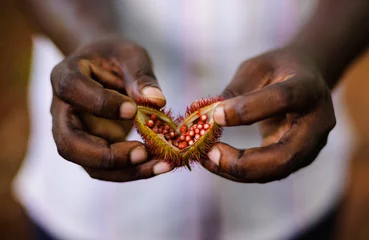 Photo sur Plexiglas Zanzibar Ferme aux épices