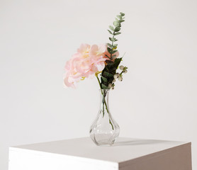 Pink flower in glass vase on white cube. White background.