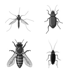 Vector illustration of insect and fly logo. Collection of insect and element stock vector illustration.