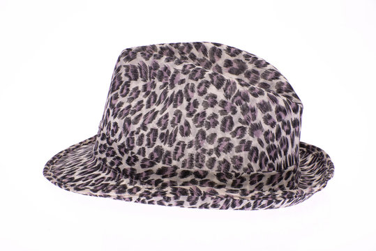 capello con motivo leopardato su fondo bianco