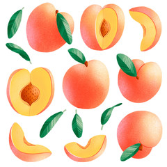 Peaches isolated illustrations set