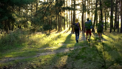 Friends with rucksacks hiking in woods, active lifestyle, pov of criminal danger