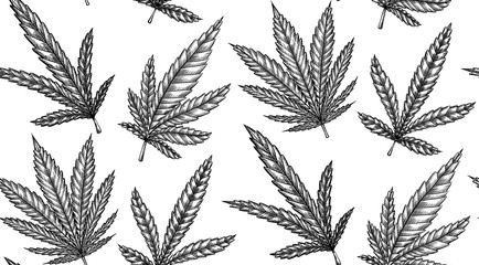 Seamless black and white pattern with leaves of marijuana with hatching.  Vector engraving texture for fabrics, wallpapers and your creativity.