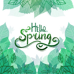 Spring vector card with Handwritten Lettering Hello, Spring with decoration and doodle, green leaves