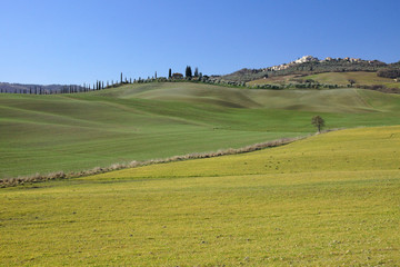 Fototapeta na wymiar landscape near siena in tuscany