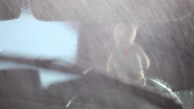 wool bear car window rain hd footage 