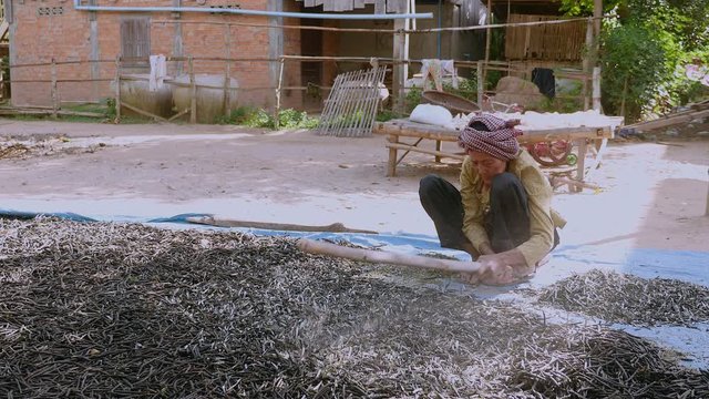 Manual crushing of dried beans with a wooden stick (close-up)	