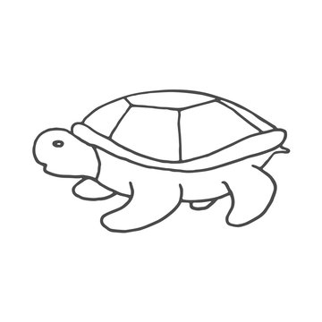 Hand Drawn turtle doodle. Sketch style icon. Decoration element. Isolated on white background. Flat design. Vector illustration.