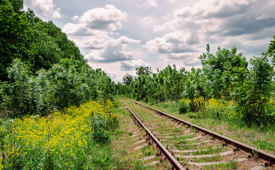 Obraz premium old railway among flowering trees