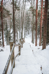 A stairs path in snow in a forest in winter