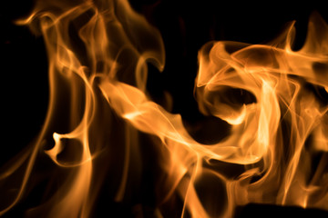 Fototapeta premium Flame