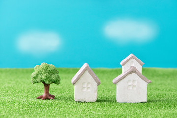 家　芝生　青空