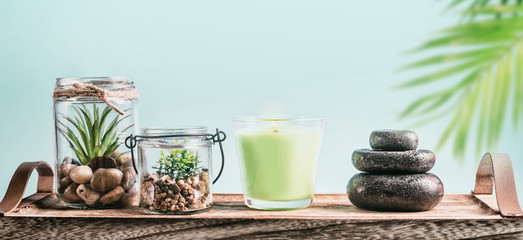 SPA setting with candles  massage hot stones and succulent plants on tray at pastel blue background . Healthy lifestyle, wellness and modern beauty concept. Copy space for your design