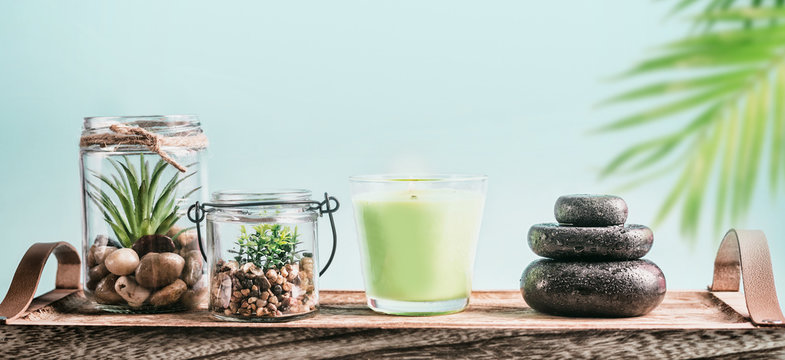 SPA setting with candles  massage hot stones and succulent plants on tray at pastel blue background . Healthy lifestyle, wellness and modern beauty concept. Copy space for your design