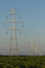 New power poles in construction during dusk time, wiring work 