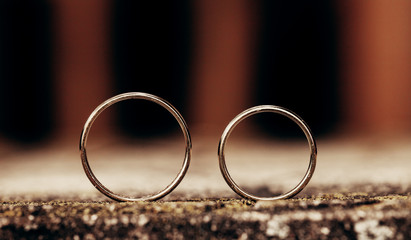 Two upright golden wedding rings.