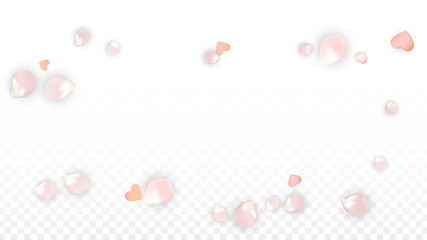 Vector Realistic Petals and Hearts Confetti. Flying Sakura and Hearts on Transparent Background. Wedding Invitation Background. Spring Romance Poster. Vector Illustration for Anniversary Design.