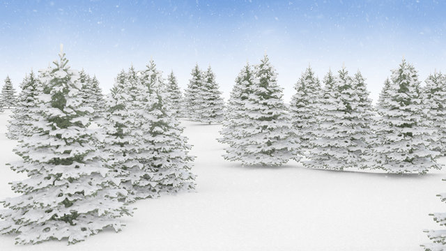Christmas winter landscape background. Falling snow and snow covered pine trees