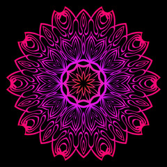 Modern Decorative Floral Color Mandala. Super Vector Round Shapes. Vector Illustration. Black, red purple color