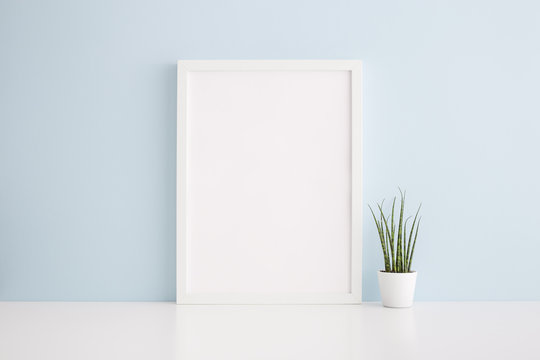 Frame mock up and succulent plant against blue wall. 