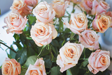 A large bouquet of roses with a slight blur. Flower background