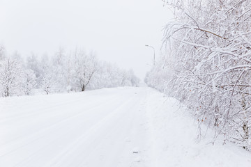 Winter landscape with snow and christmas trees. Merry christmas and happy new year greeting background. .