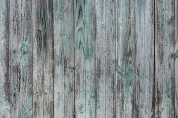 Old rustic wood painted white and green and blue colours background