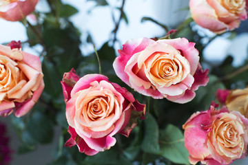 Orange-red roses top view. Flower background